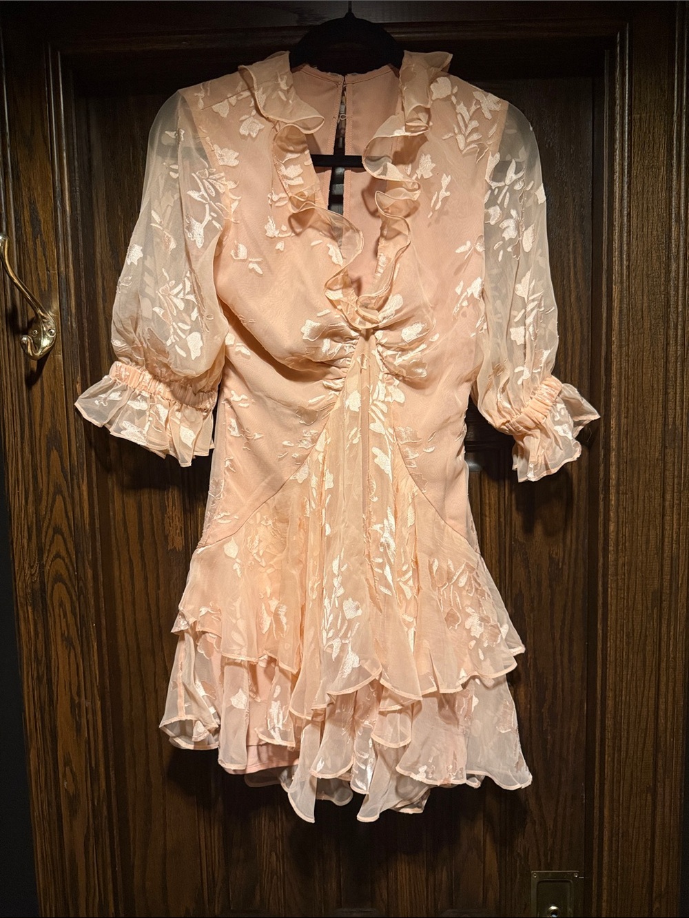 ASOS DESIGN Petite Blush Burnout Floral Ruffle Mini Dress NWT - Picture 3 of 4